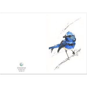 Cartões dobrados com 10 pacotes: excelente pintura em aquarela de pássaro Fairywren, arte de parede de pássaro, impressão em aquarela, pássaro azul, decoração de parede de pássaro