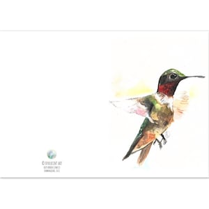 Carte piegate da 10 pezzi: pittura ad acquerello colibrì, arte degli uccelli, stampa ad acquerello