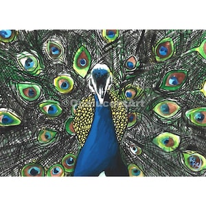 DIGITAL: Peacock Watercolor Painting, Bird Wall Art, Watercolor Print, Blue Peacock, Bird Wall Decor