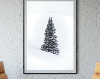 Lone Pine - Snow Covered Pine Tree, Canvas or Print