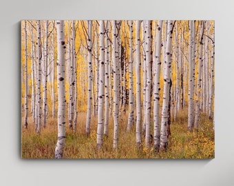 Fall Aspen Tree Photography – Park City Utah, Mountain Canvas Art