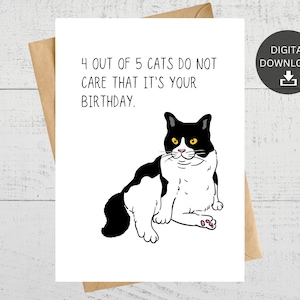 Funny Printable Sassy Cat Birthday Card, For Cat Lovers, Instant Digital Download