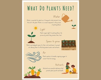 What Do Plants Need? | Kids' Educational Poster | Water, Light, Space, Air, Nutrients