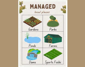 Natural, Managed and Constructed Features Posters