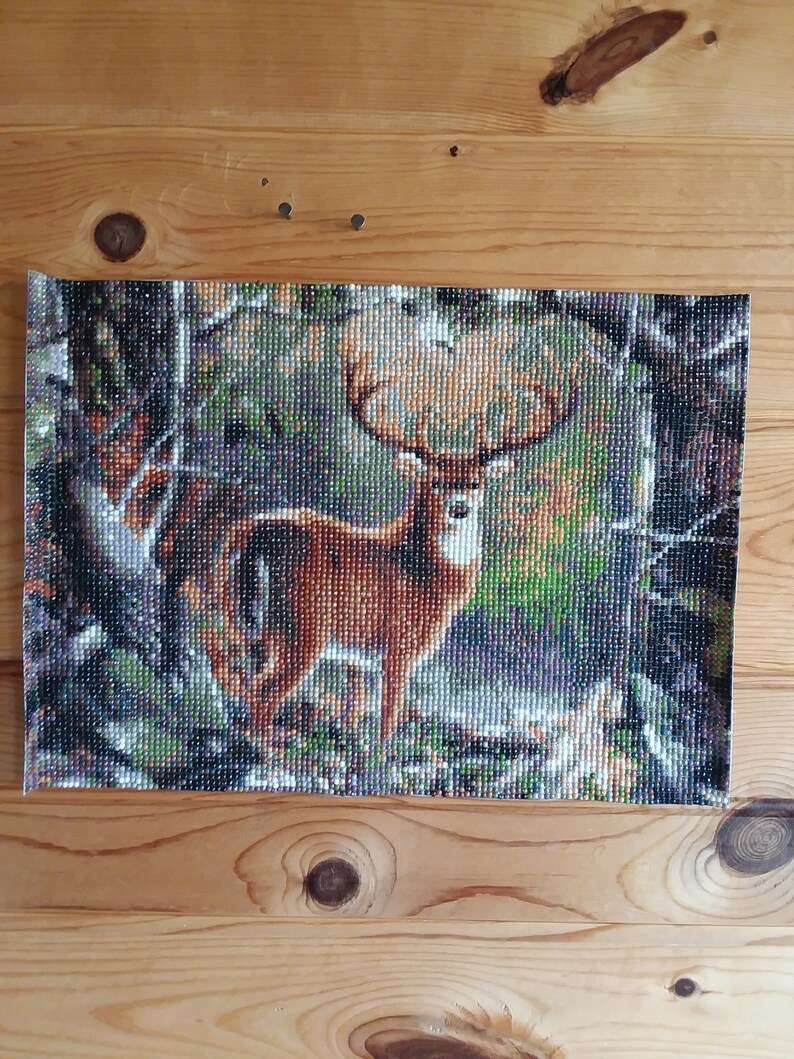 Completed Diamond Paintings Etsy