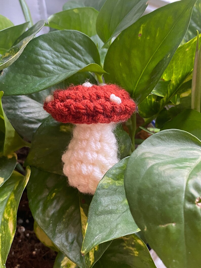 Mini Mushroom Crochet Pattern Etsy