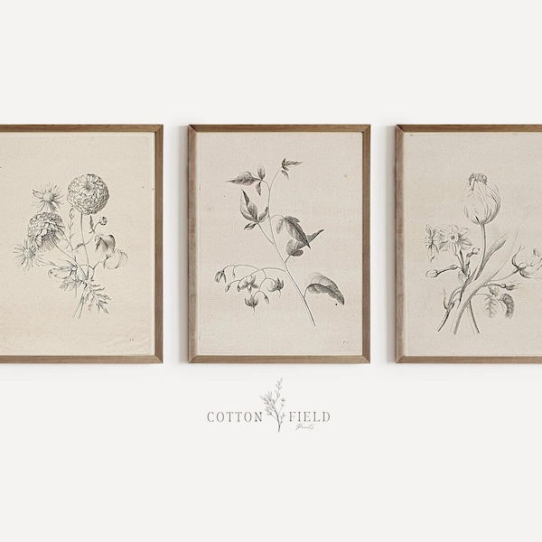 Vintage Floral Print Set of 3 Printable | Botanical Print Set | Farmhouse Wall Art | Spring Wall Art | PRINTABLE ART