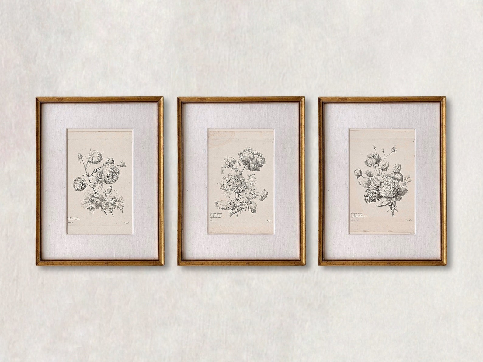 Botanical Print Set of 3 Vintage Floral Print Set of 3 Etsy