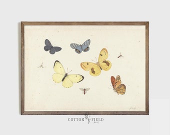 Butterflies | Vintage Butterfly Print | Vintage Printable Wall Art | Nursery Wall Art | Digital Download