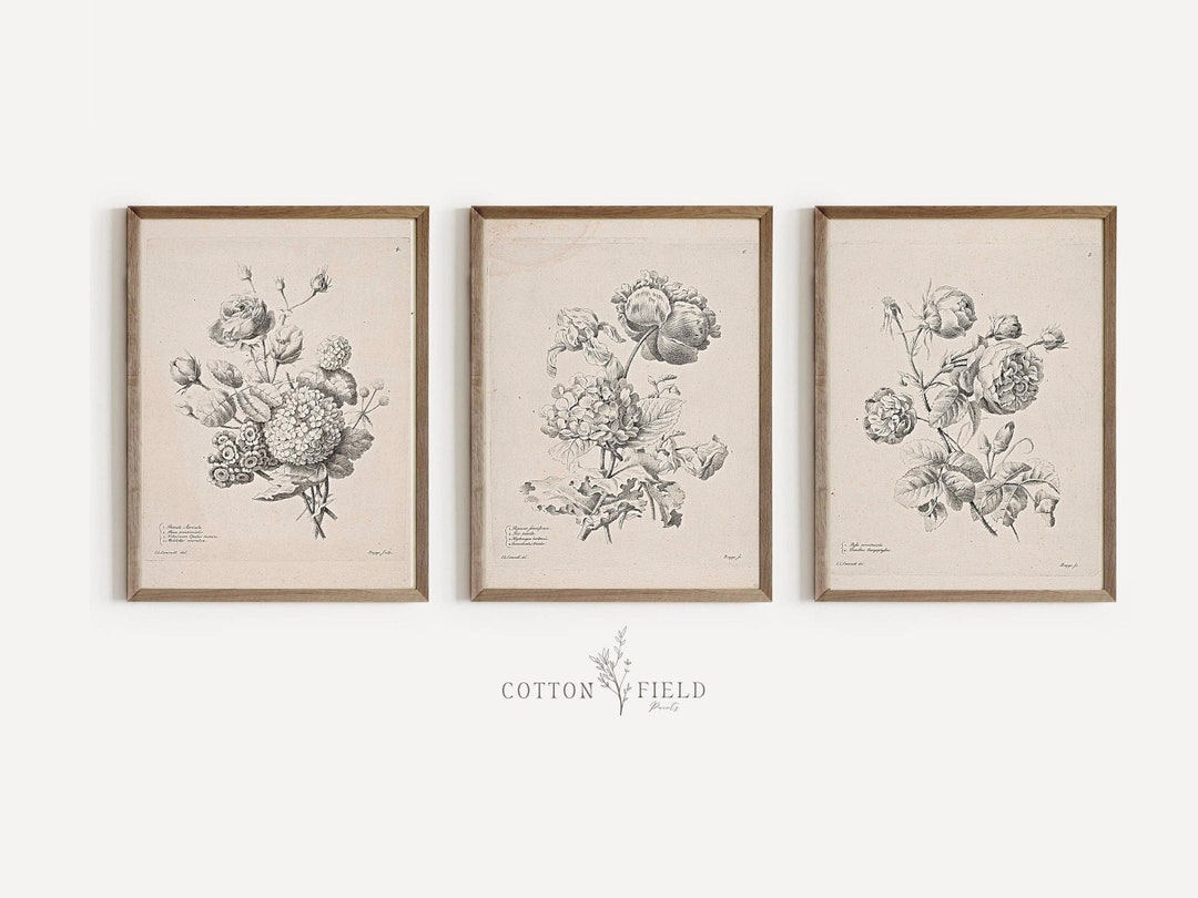 Botanical Print Set of 3 Vintage Floral Print Set of 3 Etsy