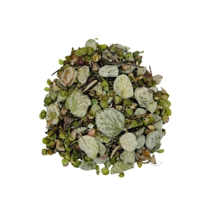 Dittany of Crete | Oreganum Dictamnus | Used for Divination, Summoning, Spirit & Ancestor Work  | Witch Herbs | 100% Authentic | 0.5 Ounces