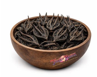 Bat’s Head Root | Devil’s Claw | Vampire Root | Traditional Herb Supplier & Manufacturer | Hoodoo Root | Witchcraft |