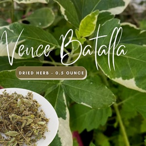 Vence Batalla (Win the Battle) Dried Herb for Victory and Prosperity - Blockbuster  - Court Cases - Turn to your Favor - Good Luck