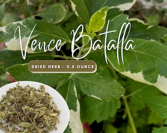 Vence Batalla (Win the Battle) Dried Herb for Victory and Prosperity - Blockbuster  - Court Cases - Turn to your Favor - Good Luck
