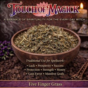 May include: A wooden bowl filled with dried Five Finger Grass, a traditional herb for spellwork. The image features text that reads "Touch of Magick" and lists uses such as luck, prosperity, and success. The background is a dark, textured surface.