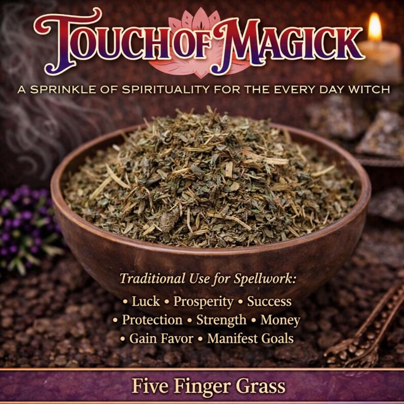 May include: A wooden bowl filled with dried Five Finger Grass, a traditional herb for spellwork. The image features text that reads "Touch of Magick" and lists uses such as luck, prosperity, and success. The background is a dark, textured surface.