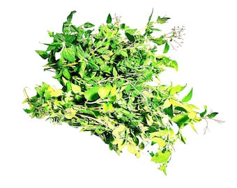 Abre Camino (Road Opener) Dried Herb Cut