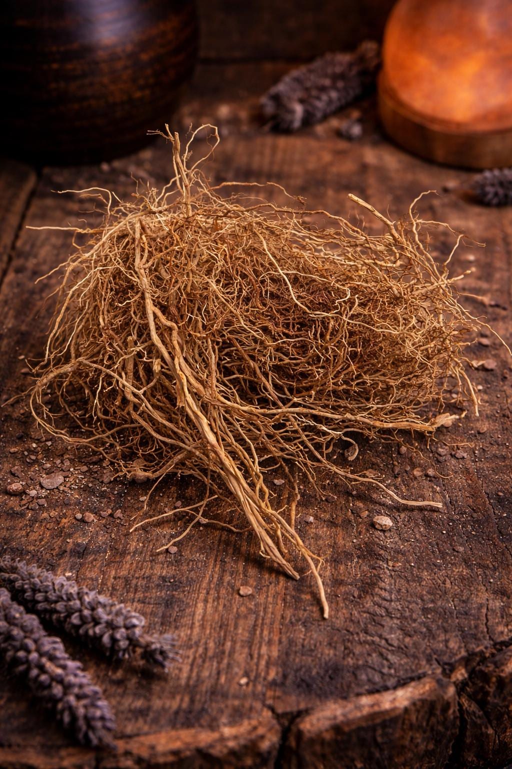 Patchouli Roots Deep Patchouli Root / Raiz De Pachuli 5 Grams - Etsy