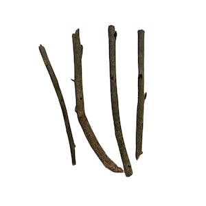 Almacigo (Mastic Tree) Sticks - Powerful Herb used for Cleansings - Contains 0.2 Ounces