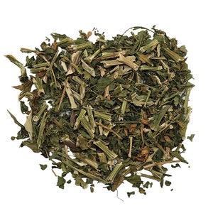 Epazote | Chenopodium Ambrosioides | 0.5 Ounces | Used for Protection & Hex Breaking | Use in Spell Bottles, Mojo Bags | Witch Herbs