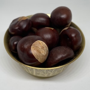 Buckeye | Ojo de Buey | Castaño de Indias | 100% AUTENTYCZNE | ZA 1 BUCKEYE | Powodzenia, dobrobytu i ochrony | Hoodoo | Czarostwo |