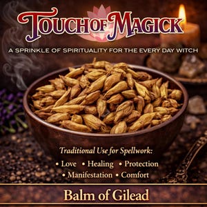 Balsam Gilead | Topola balsamiczna | 0,5 uncji | Dostawca i producent tradycyjnych ziół | Do stosowania w butelkach do zaklęć, woreczkach Mojo | Czarownica