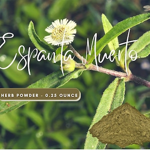 Espanta Muerto - Ghost Chaser Plant - Used to Rid of Negative Energy & Evil Spirits - 0.5 Ounces Herb Powder