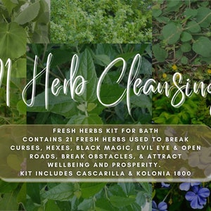 21 Fresh Herbs Mix to Break Curses, Hexes, Black Magic & Evil Eye and Open Roads to Attract Prosperity, Wealth and Wellbeing - POWERFUL MIX