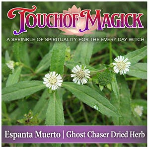 May include: Image of Espanta Muerto, also known as Ghost Chaser Dried Herb, with the text "Touch of Magick". The image shows green leaves and small white flowers. The text "A Sprinkle of Spirituality for the Every Day Witch" is also present.