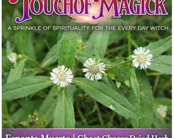 Espanta Muerto | Dried | Cut | 0.5 Ounces | Known as Ghost Chaser Plant | Traditional Herb Supplier | Santeria