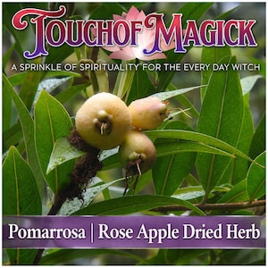 May include: Image shows the text "Touch of Magick" and "A sprinkle of spirituality for the every day witch." The image displays pomarrosa, also known as rose apple, dried herb. The fruit is a pale yellow colour, surrounded by green leaves.