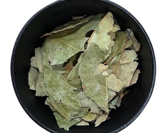 Sassafras | Sassafras Albidoum | 0.5 Ounces | Used to Attract Prosperity, Wealth & Money | Use in Spell Bottles, Mojo Bags | Witch Herb