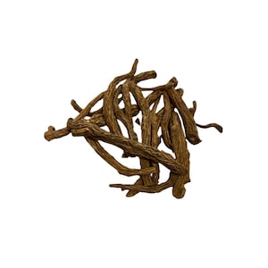 Master Root | Pieces | Masterwort | Ruler’s Root | RARE | Power, Psychic Abilities, Strength, Spell Enhancer | Hoodoo Root | 0.5 Oz |