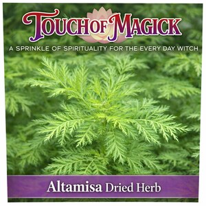 May include: Image of Altamisa Dried Herb. The image features a close-up of a vibrant green plant with delicate, feathery leaves. The text "Touch of Magick" is at the top, with the phrase "A Sprinkle of Spirituality for the Every Day Witch" below it.