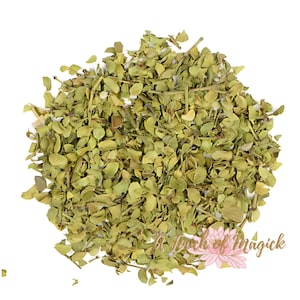 Chaparral Blatt | Larrea Tridentata | verwendet für Spirituelle Reinigung, Transformation, Schutz | Kapuze | Vogel | Zauberei | 0,5 Unzen