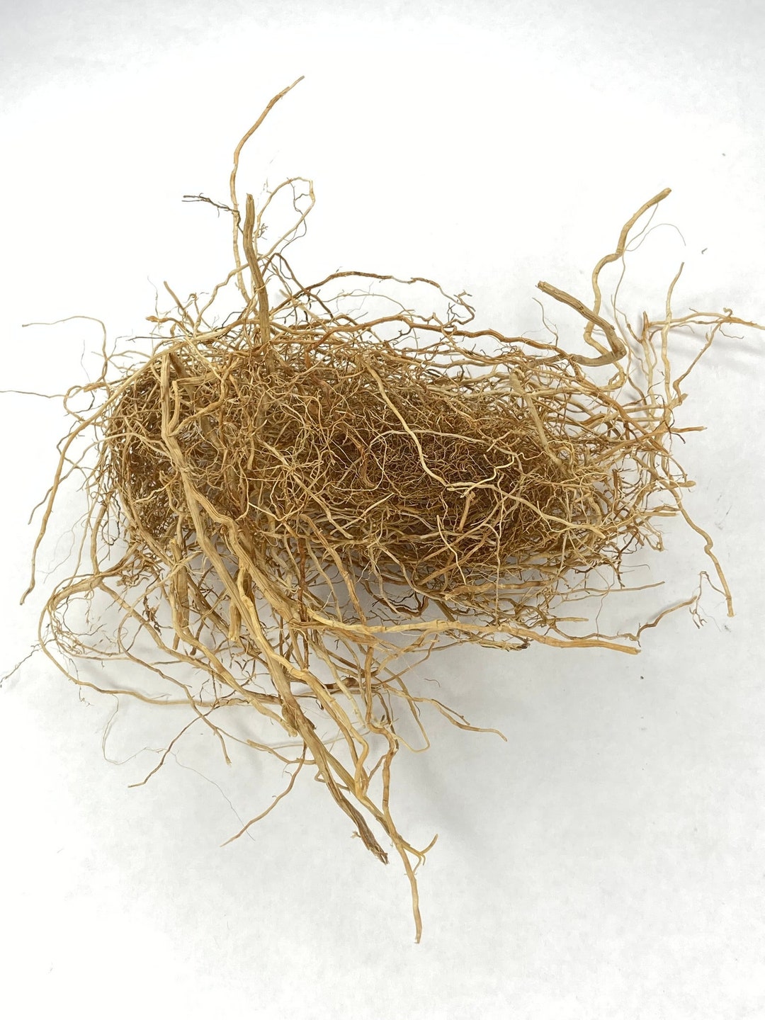 Patchouli Roots Deep Patchouli Root / Raiz De Pachuli 5 Grams - Etsy
