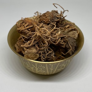 Beth Root | Trillium Pendulum | 0.5 Ounces | Used for Protection, Return to Sender, Removal of Negative | Use in Spell Bottles and Mojo Bags