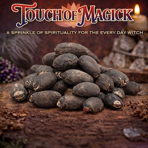 May include: A pile of dark brown, oval-shaped seeds on a wooden surface. The image includes text that reads "Touch of Magick" and "A Sprinkle of Spirituality for the Every Day Witch."