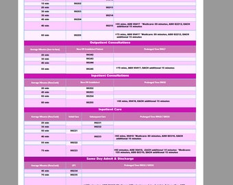 2023 E&M Time-Based Coding Cheat Sheet in PINK