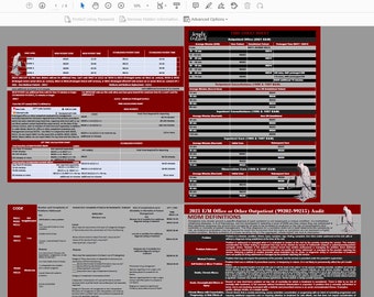 Grim 2021 E&M Coding Bundle