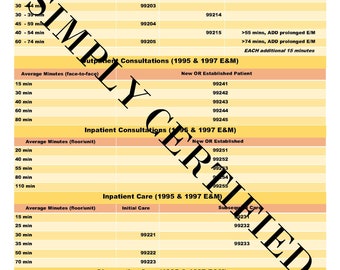 E&M Time-based Coding Cheat Sheet in LAVENDER - Etsy