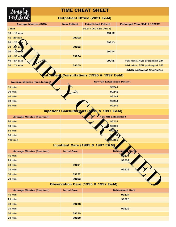 E&M Timebased Coding Cheat Sheet in SUNSHINE YELLOW Etsy