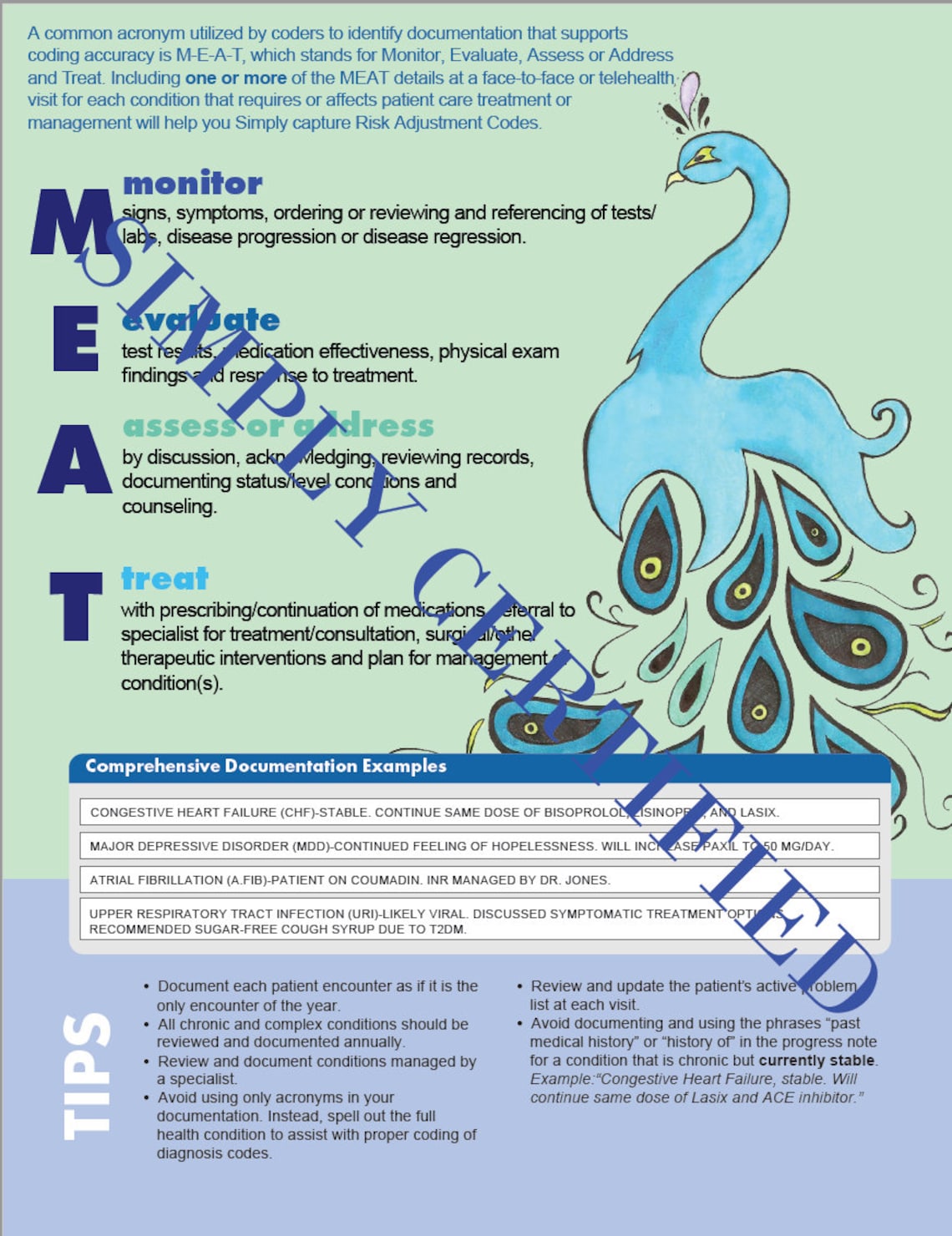 HCC CODING MEAT Reference - Simply Certified Peacock - Etsy