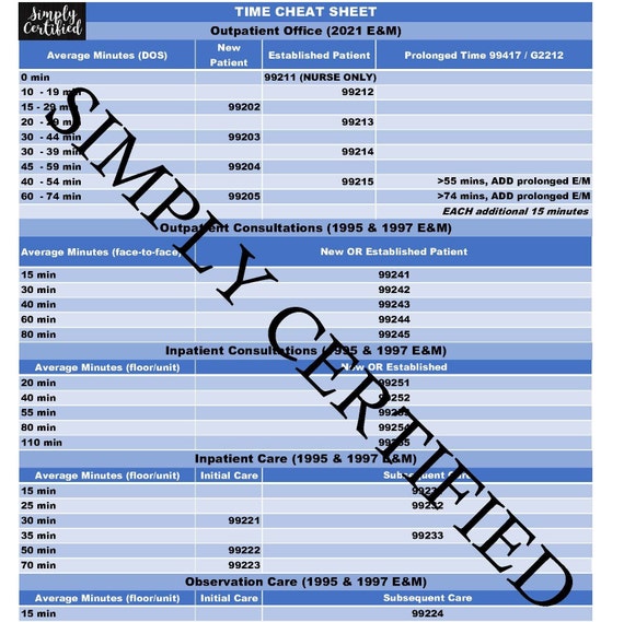 E&M Timebased Coding Cheat Sheet POWDER BLUE Etsy