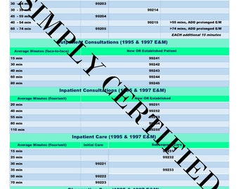 95, 97 and 21 E&M Time-Based Coding Cheat Sheet in PEACOCK GREEN/AQUA - 2021