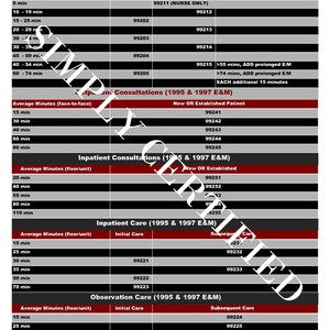 95, 97 and 21 E&M Time-Based Coding Cheat Sheet in Black and Red - 2021