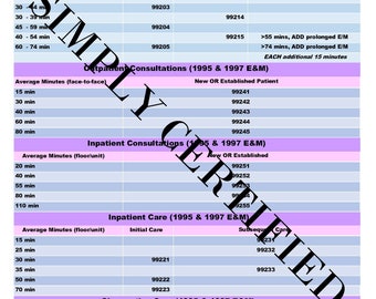 95, 97 and 2021 E&M Time-Based Coding Cheat Sheet in PASTEL COLORS