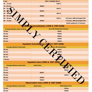 95, 97, and 2021 E&M Time-based Coding Cheat Sheets in 9 Beautiful ...