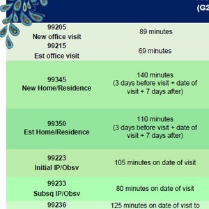 2023 E&M Prolonged Time Cheat Sheet Simply Peacock - Etsy