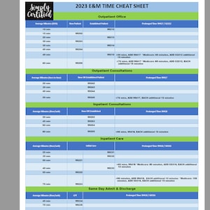 2023 E&M Time-based Coding Cheat Sheet in Blue and Green - Etsy